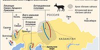 Минприроды бьет копытных